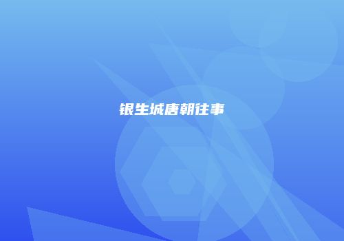银生城唐朝往事
