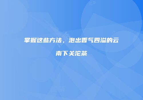 掌握这些方法，泡出香气四溢的云南下关沱茶