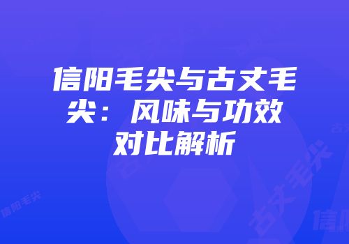 信阳毛尖与古丈毛尖：风味与功效对比解析