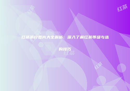 红茶茶叶图片大全解析：深入了解红茶等级与选购技巧