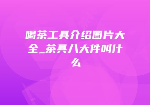 喝茶工具介绍图片大全_茶具八大件叫什么