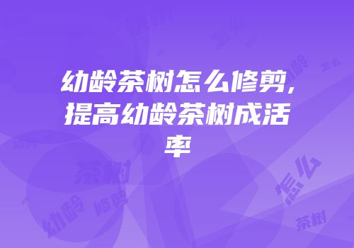 幼龄茶树怎么修剪,提高幼龄茶树成活率