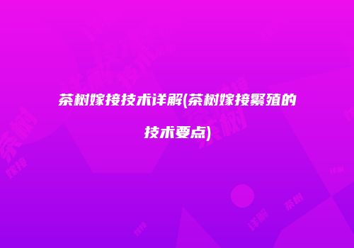 茶树嫁接技术详解(茶树嫁接繁殖的技术要点)