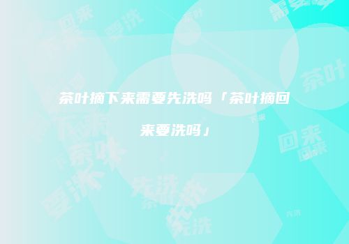茶叶摘下来需要先洗吗「茶叶摘回来要洗吗」