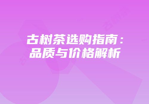 古树茶选购指南：品质与价格解析