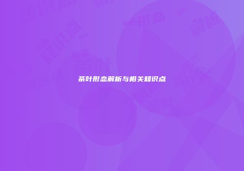 茶叶形态解析与相关知识点