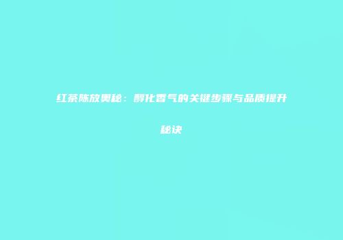 红茶陈放奥秘：醇化香气的关键步骤与品质提升秘诀