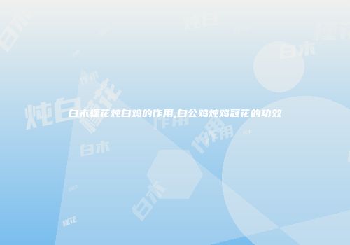 白木槿花炖白鸡的作用,白公鸡炖鸡冠花的功效