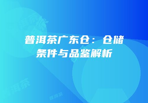 普洱茶广东仓：仓储条件与品鉴解析