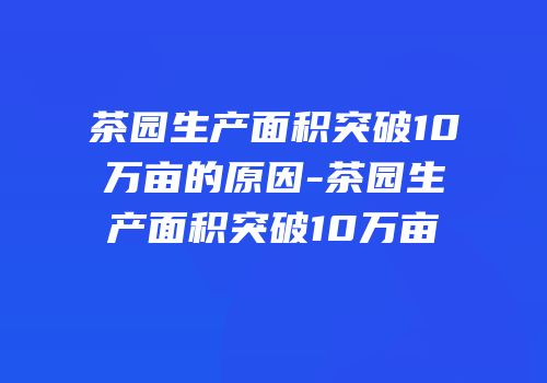茶园生产面积突破10万亩的原因-茶园生产面积突破10万亩