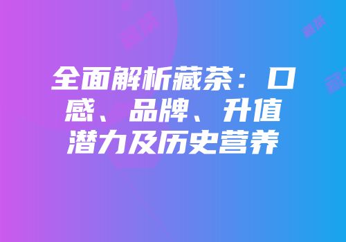 全面解析藏茶：口感、品牌、升值潜力及历史营养
