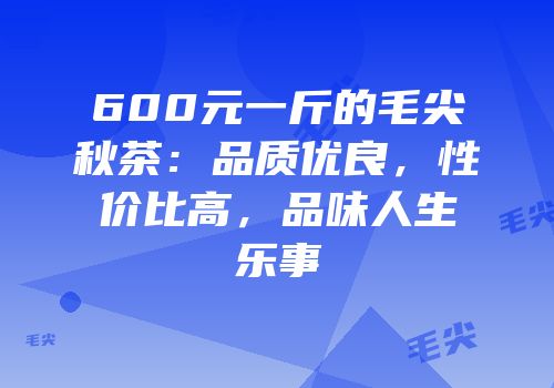 600元一斤的毛尖秋茶：品质优良，性价比高，品味人生乐事
