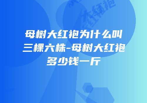 母树大红袍为什么叫三棵六株-母树大红袍多少钱一斤