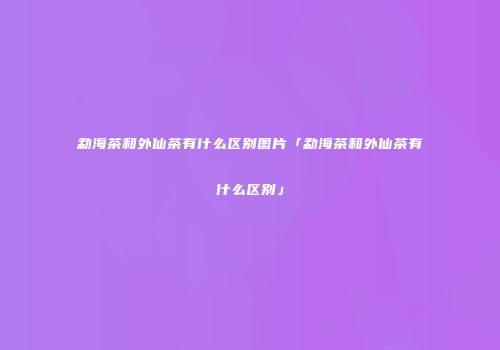 勐海茶和外仙茶有什么区别图片「勐海茶和外仙茶有什么区别」