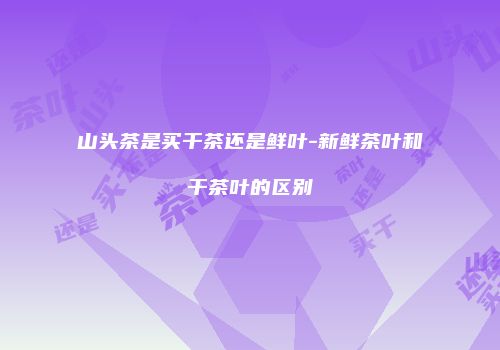 山头茶是买干茶还是鲜叶-新鲜茶叶和干茶叶的区别