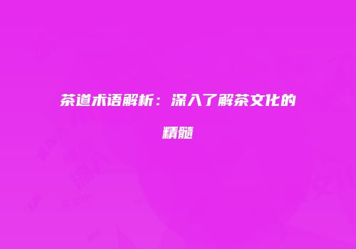 茶道术语解析：深入了解茶文化的精髓