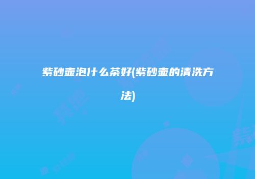 紫砂壶泡什么茶好(紫砂壶的清洗方法)