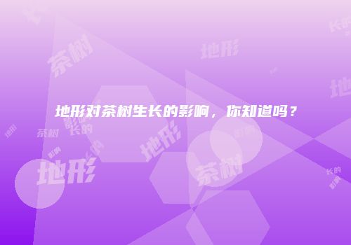 地形对茶树生长的影响，你知道吗？