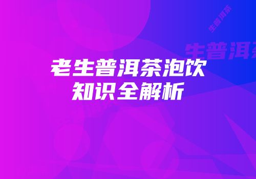 老生普洱茶泡饮知识全解析