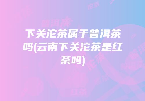 下关沱茶属于普洱茶吗(云南下关沱茶是红茶吗)