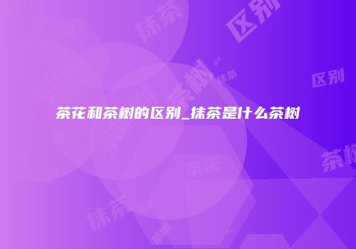 茶花和茶树的区别_抹茶是什么茶树