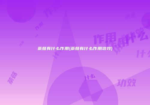 茶菇有什么作用(茶菇有什么作用功效)