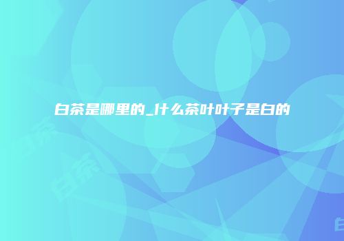 白茶是哪里的_什么茶叶叶子是白的