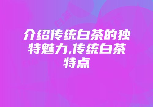 介绍传统白茶的独特魅力,传统白茶特点