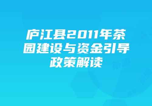 庐江县2011年茶园建设与资金引导政策解读