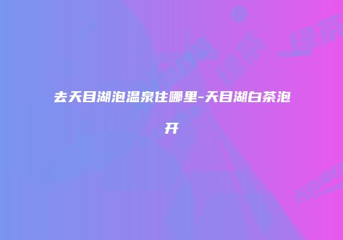 去天目湖泡温泉住哪里-天目湖白茶泡开