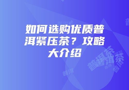 如何选购优质普洱紧压茶？攻略大介绍