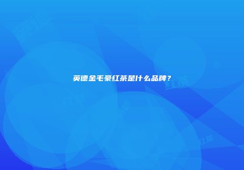 英德金毛豪红茶是什么品牌？