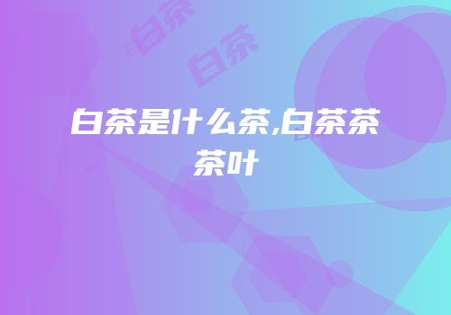 白茶是什么茶,白茶茶茶叶