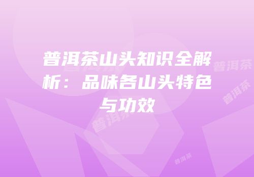 普洱茶山头知识全解析：品味各山头特色与功效