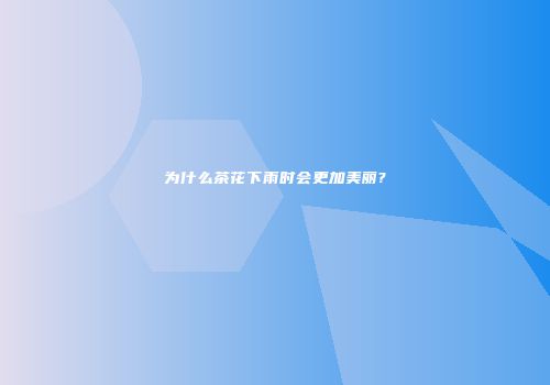 为什么茶花下雨时会更加美丽?