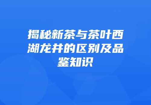 揭秘新茶与茶叶西湖龙井的区别及品鉴知识