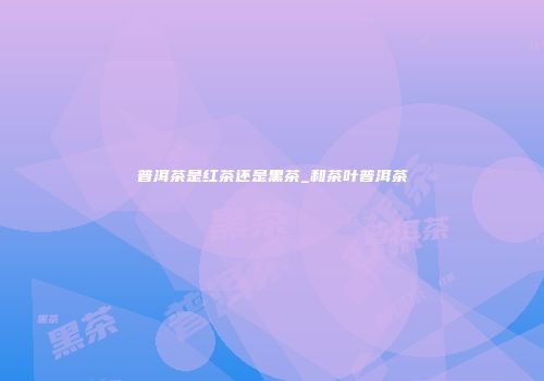 普洱茶是红茶还是黑茶_和茶叶普洱茶