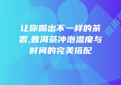 让你喝出不一样的茶香,普洱茶冲泡温度与时间的完美搭配