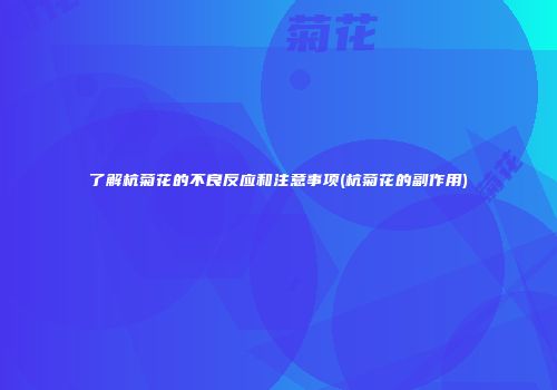 了解杭菊花的不良反应和注意事项(杭菊花的副作用)