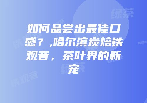 如何品尝出最佳口感？,哈尔滨炭焙铁观音，茶叶界的新宠