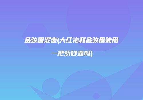 金骏眉泥壶(大红袍和金骏眉能用一把紫砂壶吗)