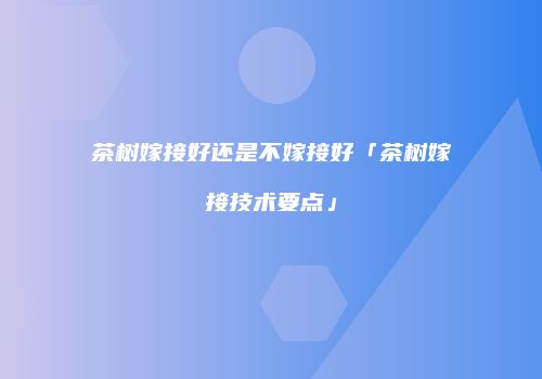 茶树嫁接好还是不嫁接好「茶树嫁接技术要点」