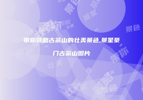 带你领略古茶山的壮美景色,景星豪门古茶山图片