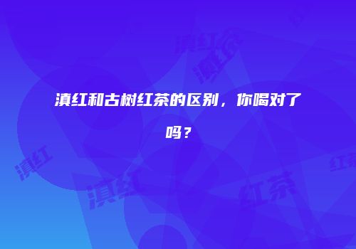 滇红和古树红茶的区别，你喝对了吗？