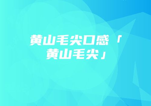 黄山毛尖口感「黄山毛尖」