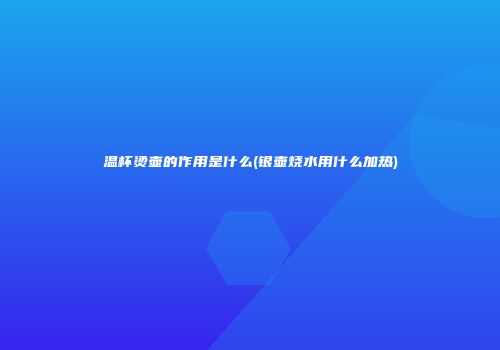 温杯烫壶的作用是什么(银壶烧水用什么加热)