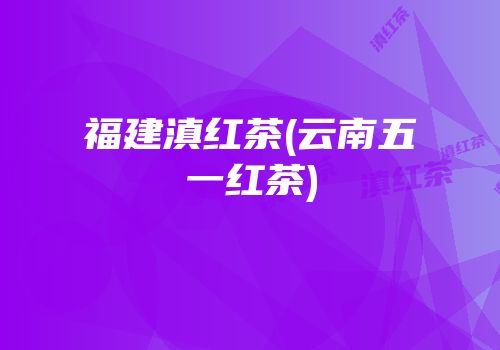 福建滇红茶(云南五一红茶)