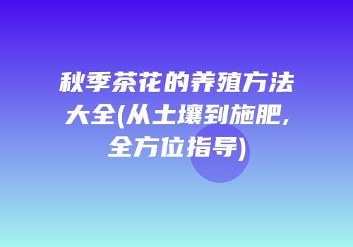 秋季茶花的养殖方法大全(从土壤到施肥,全方位指导)