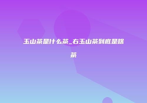 玉山茶是什么茶_右玉山茶到底是啥茶