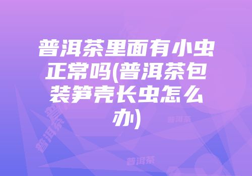 普洱茶里面有小虫正常吗(普洱茶包装笋壳长虫怎么办)